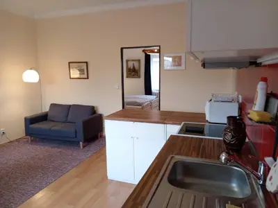 a kitchen with a sink and a couch in a room at Apartmán Na Leštině in Příbram