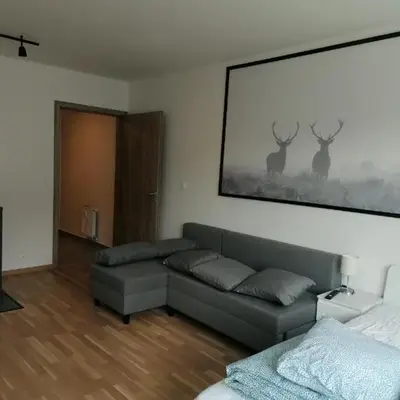 Brand new studio apartment #50 FREE PARKING close to center