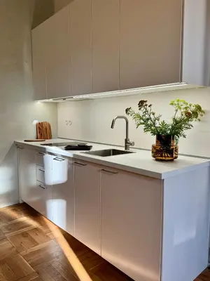 a kitchen with white cabinets and a sink with a potted plant at Old Soul,New Style,Best location in Prague