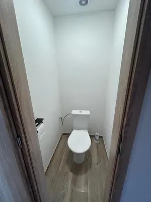a bathroom with a white toilet in a room at House in Čakovice near Štětí in Štětí