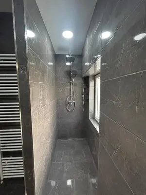a bathroom with a walk in shower with black tiles at House in Čakovice near Štětí in Štětí