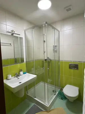 a bathroom with a shower and a sink and a toilet at Đã Về - Đã Tới 2 in Prague