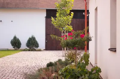 a driveway with pink flowers in front of a garage at Garage u Barbory in Rakovník