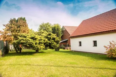 a house and a tree in a yard at Garage u Barbory in Rakovník