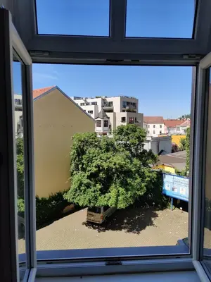 a view of a tree from a window at Cozy Flat at Žižkov & Free Parking in Prague