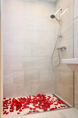 a shower with red rose petals on the floor at Golden Heart Residence in Prague