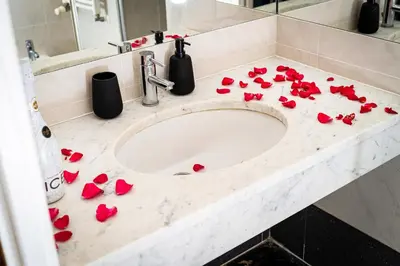 a bathroom sink with red rose petals on it at Premium Dog Suite in Prague