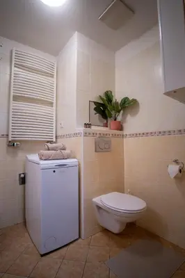 a bathroom with a toilet and a plant on the wall at Světlý byt blízko centra - plně vybavený in Prague