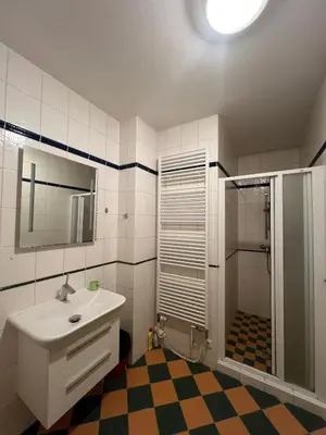 a bathroom with a sink and a shower at Sabina house in Vestec
