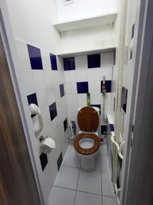 a bathroom with a toilet with blue and white tiles at Fox Den Prague in Prague