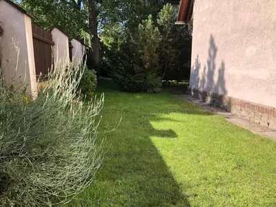 a shadow of a tree on the side of a house at Prague house in Green Oasis 10min to the downtown in Prague