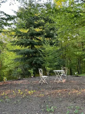 two chairs sitting in front of a pine tree at Nad svatým Kiliánem