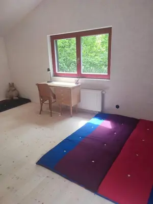 a room with a large colorful rug on the floor at Romantický domek Slapy