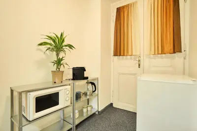 a microwave on a table with a plant on it at Muze Suites in Prague