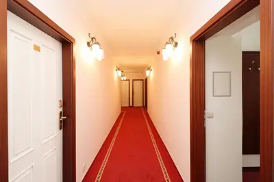 a corridor with a red carpet in a hallway at Prague Mystique Apartment in Prague