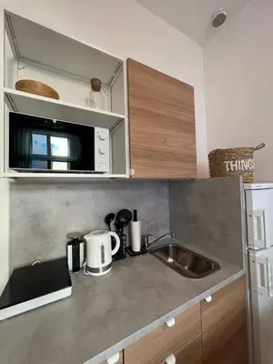a kitchen counter with a sink and a microwave at Urban Nest On Tyrsova 7 - Near IP Pavlova Metro in Prague