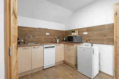 a kitchen with a white refrigerator and a microwave at Statek Luigi in Tuchlovice