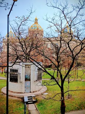 a building with a tree in front of it at 3 Brothers Homestay Muzeum in Prague