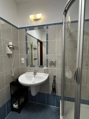 a bathroom with a sink and a shower at Vintage Apartment Old Prague Charm in Prague