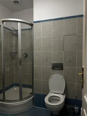 a bathroom with a toilet and a shower at Vintage Apartment Old Prague Charm in Prague