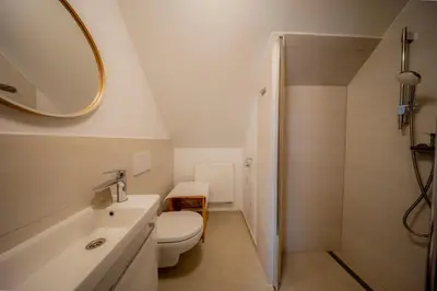 a white bathroom with a toilet and a shower at Ubytování Hrusice in Hrusice