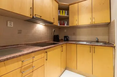 a kitchen with wooden cabinets and a sink at Designový Apartmán in Prague