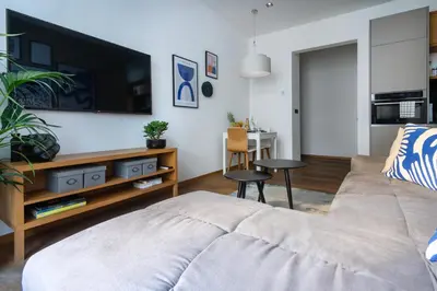 a living room with a couch and a flat screen tv at Stylish Apartment in Prague's Historic Centre in Prague