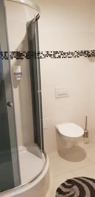 a bathroom with a shower and a toilet at Pension & Restaurace Na Rychtě in Prague