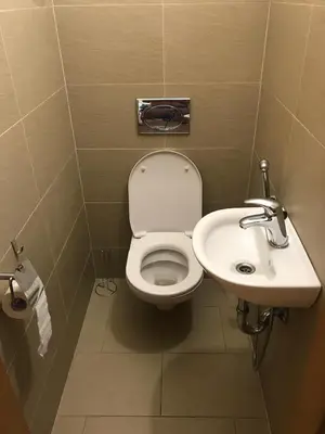 a bathroom with a toilet and a sink at COSY&SUNNY flat, center 10min, park 3min, baby cot, free weekend parking in Prague
