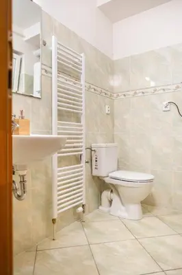 a bathroom with a toilet and a sink at Apartmán IRIS Poděbrady 2 in Poděbrady