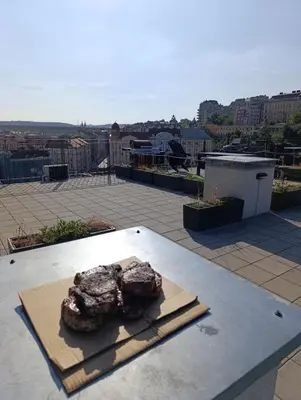 a piece of meat sitting on top of a table at GeraStay Perucka in Prague