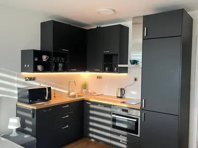 a kitchen with black cabinets and stainless steel appliances at GeraStay Perucka in Prague