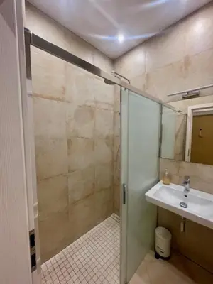 a bathroom with a shower and a sink at Jakub's home in Prague