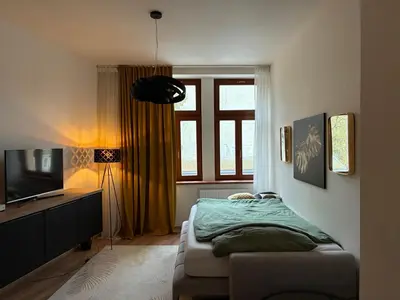 a bedroom with a bed and a tv and a window at Luxurious Studio Apartment Vyšehrad in Prague