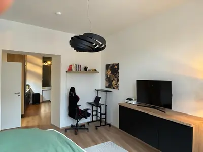 a bedroom with a bed and a desk with a television at Luxurious Studio Apartment Vyšehrad in Prague