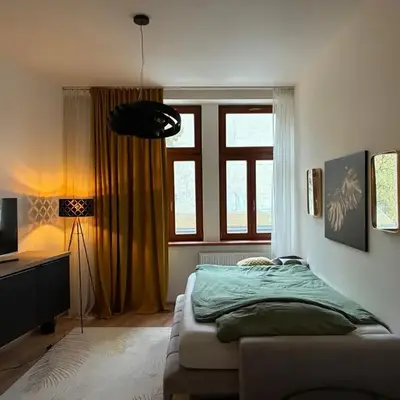 Luxurious Studio Apartment Vyšehrad