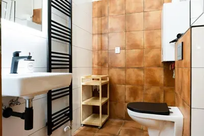 a bathroom with a sink and a toilet at Apartmán IRIS Poděbrady 3 in Poděbrady