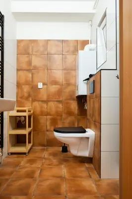 a bathroom with a toilet and a sink at Apartmán IRIS Poděbrady 3 in Poděbrady