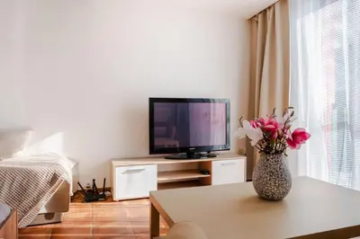 a living room with a vase of flowers on a table at Apartmán IRIS Poděbrady 3 in Poděbrady