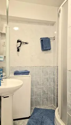 a white bathroom with a sink and a shower at Veles Apartment in Prague