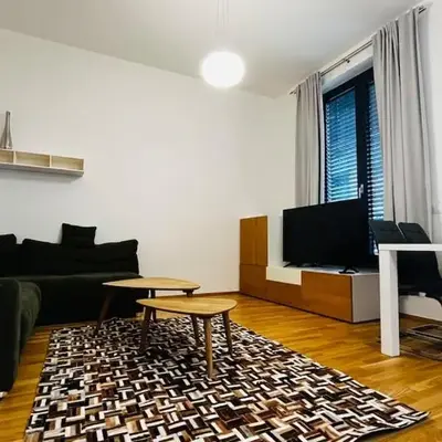 Apartment Holesovice