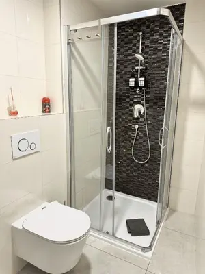 a bathroom with a shower with a toilet and a sink at Entire apartment in the center of Prague in Prague