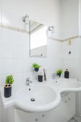 a white sink in a bathroom with potted plants at Spacious House with Garden 15 min walk from Castle in Prague