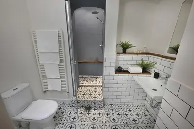 a bathroom with a shower and a toilet and a sink at U Šuterů Boutique Hotel in Prague