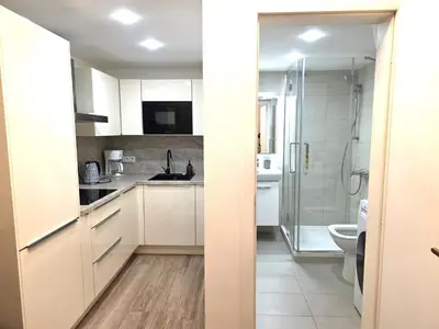 a white kitchen with a shower and a toilet at Small studio with loft bed in Prague