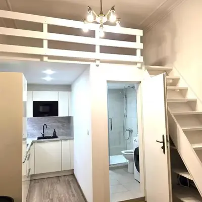 Small studio with loft bed