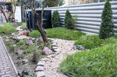 a garden with rocks and trees in front of a building at Novohome in Prague