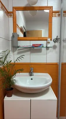 a bathroom with a sink and a mirror and a plant at Novohome in Prague