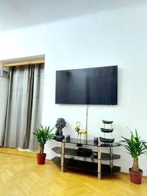 a living room with a tv on a wall with plants at Sophia apartment in Prague