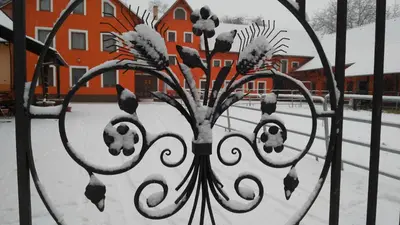 a metal gate with a tree in the snow at Podřipská Farma in Roudnice nad Labem